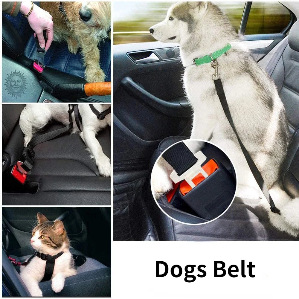 Adjustable Seat Belt for Dogs and Cats