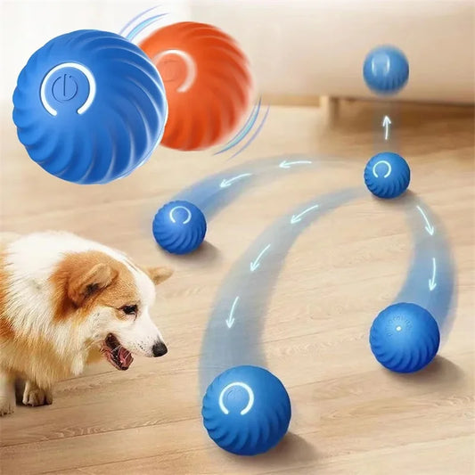 Smart Ball Pet Toy